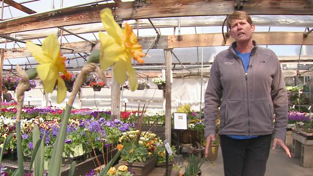 9 Lawn And Gardening Tips Ahead Of The Spring Storm 9news Com