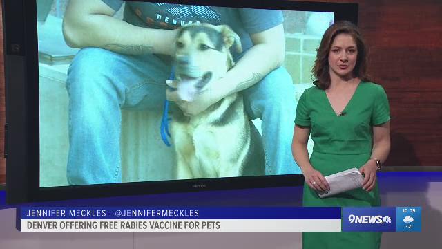 pets vaccine